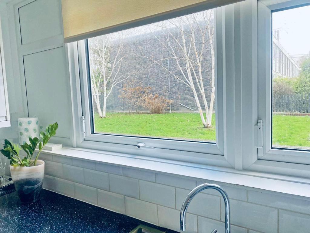 Albert Bridge Spacious Double Room London Exterior foto